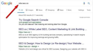 Google Index: How to Check Total Indexed Pages & Get Instantly Indexed by Google Crawlers