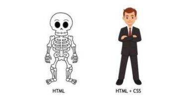 Cách viết web bằng HTML và CSS đơn giản chi tiết