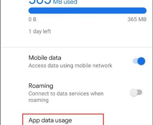 Cách Kiểm Tra Sử Dụng Dữ Liệu Di Động Trên Điện Thoại Android/ iOS