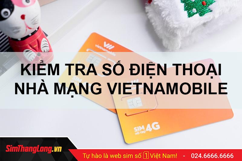 Tại sao cần kiểm tra số điện thoại Vietnamobile?
